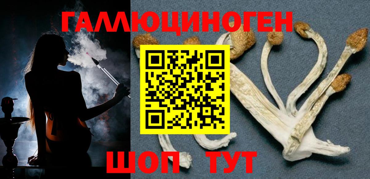 Псилоцибиновые грибы Magic Shrooms  купить наркотики цена  Камень-на-Оби  Вход с VPN 
